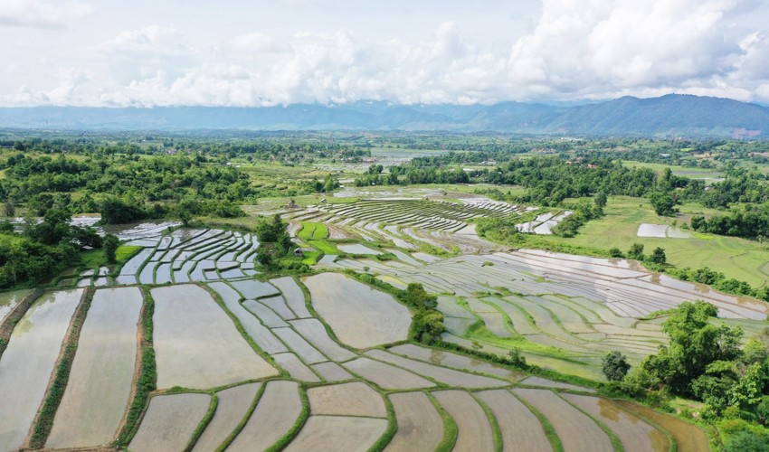 老挝川圹特区 (2).jpg