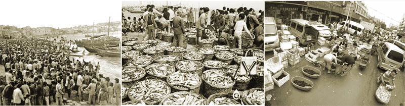 80年代泉州海边.jpg